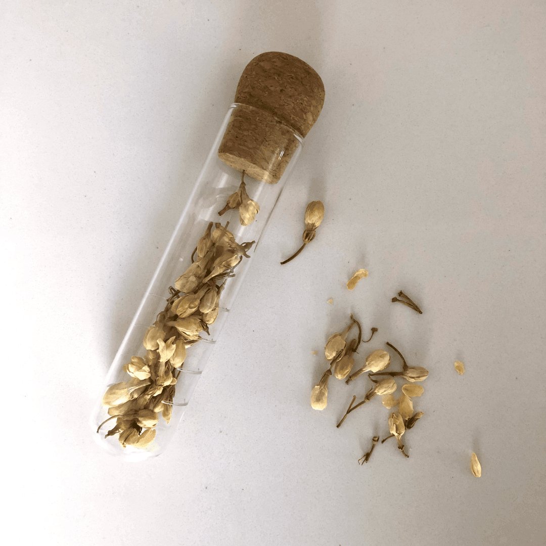 Tea Infusing Wand - Procaffeinator